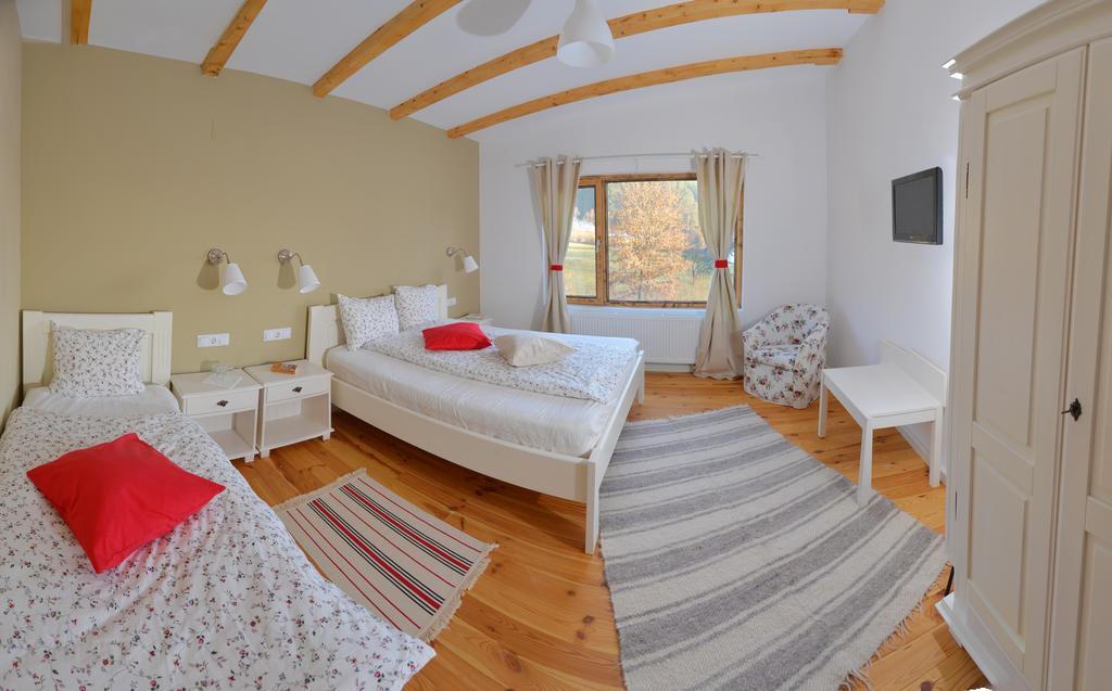 Talhaus Hotel Viseu de Sus Ngoại thất bức ảnh